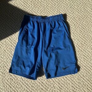Nike Blue Athletic Shorts